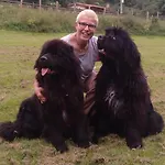 Petfriendly El Molino De Cantabria - Rural - Inn
