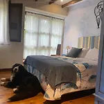 Petfriendly El Molino De Cantabria - Rural - Inn Entrambasaguas (Entrambasaguas)