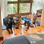 Petfriendly El Molino De Cantabria - Rural -