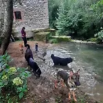 Petfriendly El Molino De Cantabria - Rural - Entrambasaguas (Entrambasaguas)