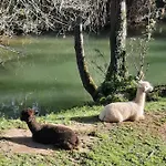 Petfriendly El Molino De Cantabria - Rural - Entrambasaguas (Entrambasaguas)