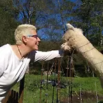 Inn Petfriendly El Molino De Cantabria - Rural - *