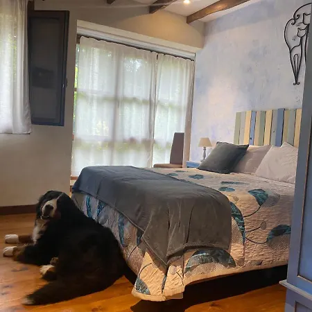 Pet Friendly El Molino De Cantabria Mini-hôtel Entrambasaguas (Entrambasaguas)