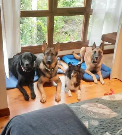 Pet Friendly El Molino De Cantabria