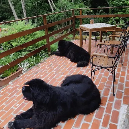 Pet Friendly El Molino De Cantabria
