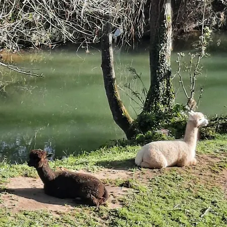 Petfriendly El Molino De Cantabria - Rural - Entrambasaguas (Entrambasaguas)