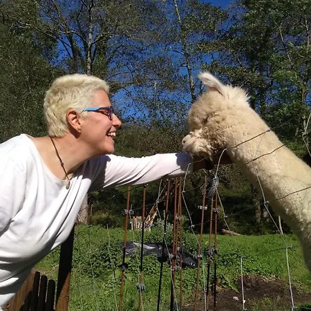 Estalagem Petfriendly El Molino De Cantabria *