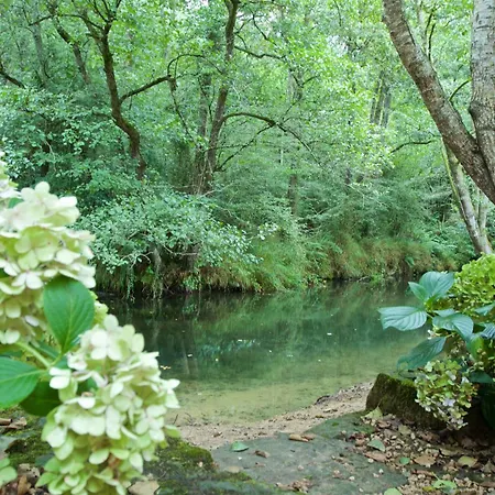 Mini-hôtel Pet Friendly El Molino De Cantabria