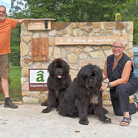 Petfriendly El Molino De Cantabria - Rural -