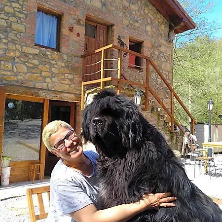 Petfriendly El Molino De Cantabria - Rural - Värdshus *