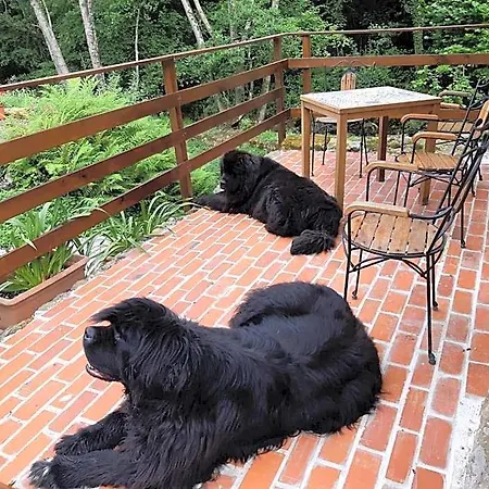 Petfriendly El Molino De Cantabria - Rural -