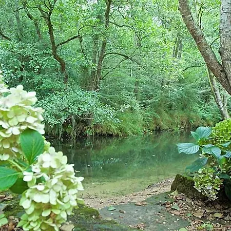 Värdshus Petfriendly El Molino De Cantabria - Rural - Entrambasaguas (Entrambasaguas)
