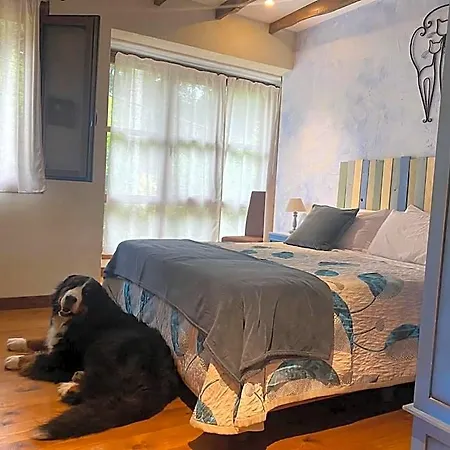 Petfriendly El Molino De Cantabria - Rural - Värdshus Entrambasaguas (Entrambasaguas)