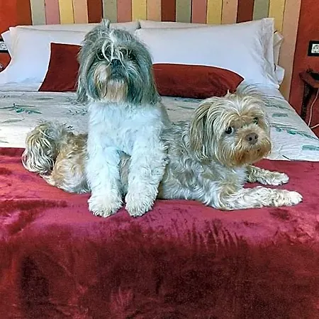 Petfriendly El Molino De Cantabria - Rural - * Entrambasaguas (Entrambasaguas)
