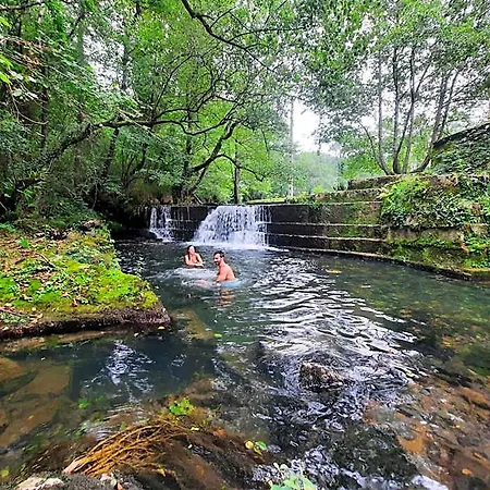 Petfriendly El Molino De Cantabria - Rural - Entrambasaguas (Entrambasaguas)