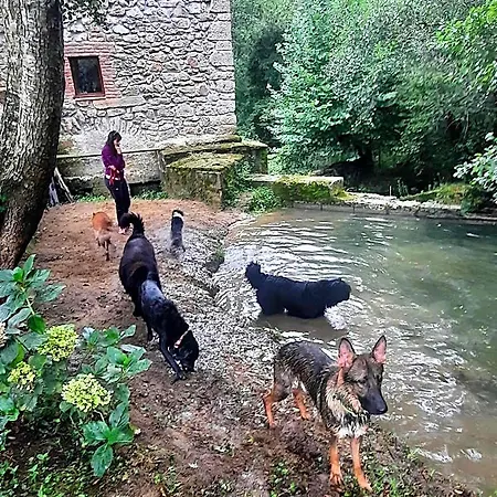 Värdshus Petfriendly El Molino De Cantabria - Rural -