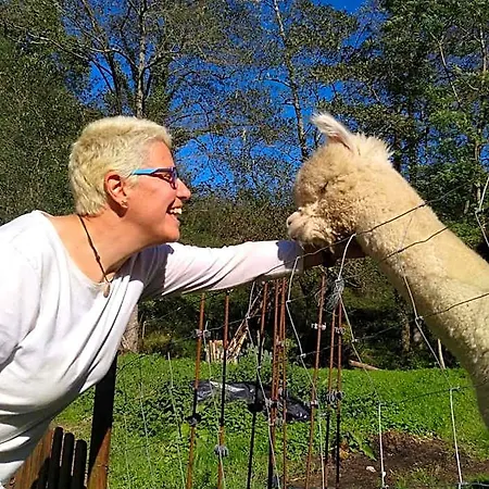 Värdshus Petfriendly El Molino De Cantabria - Rural - *