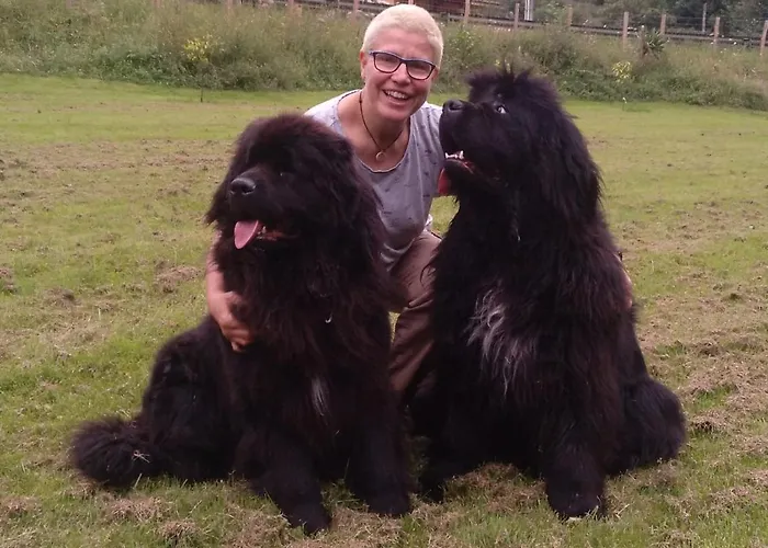 Posada Petfriendly El Molino De Cantabria - Hotel Rural B&B - Mini-hôtel