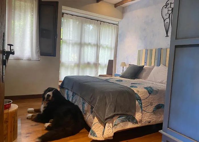 Posada Petfriendly El Molino De Cantabria - Hotel Rural B&B - Värdshus Entrambasaguas (Entrambasaguas)