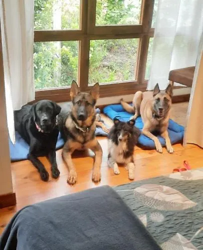 Posada Petfriendly El Molino De Cantabria - Hotel Rural B&B -