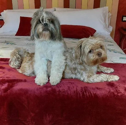 Värdshus Posada Petfriendly El Molino De Cantabria - Hotel Rural B&B - *