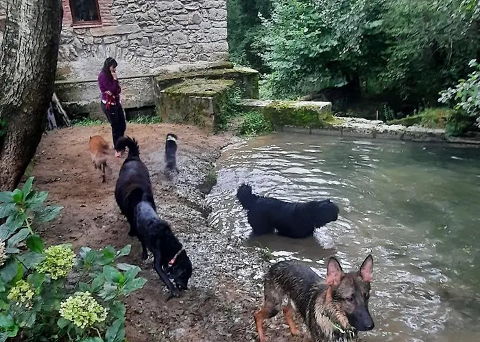 Posada Petfriendly El Molino De Cantabria - Hotel Rural B&B - Entrambasaguas (Entrambasaguas)