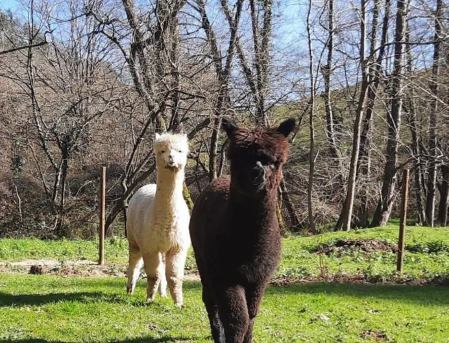 Posada Petfriendly El Molino De Cantabria - Hotel Rural B&B - Värdshus Entrambasaguas (Entrambasaguas)