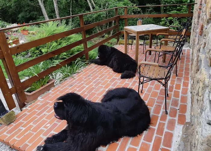 Posada Petfriendly El Molino De Cantabria - Hotel Rural B&B -