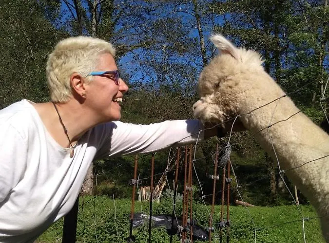 Mini-hôtel Posada Petfriendly El Molino De Cantabria - Hotel Rural B&B - *