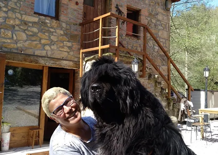 Posada Petfriendly El Molino De Cantabria - Hotel Rural B&B - Värdshus Entrambasaguas (Entrambasaguas)