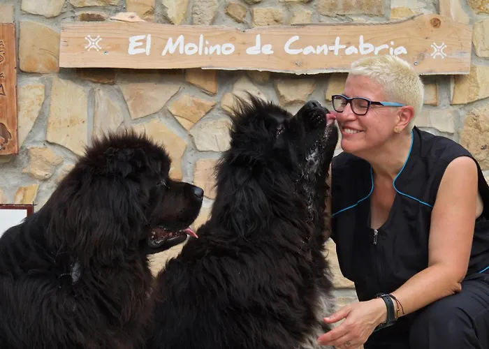 Posada Petfriendly El Molino De Cantabria - Hotel Rural B&B - Mini-hôtel
