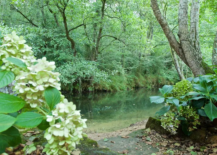 Mini-hôtel Posada Petfriendly El Molino De Cantabria - Hotel Rural B&B -