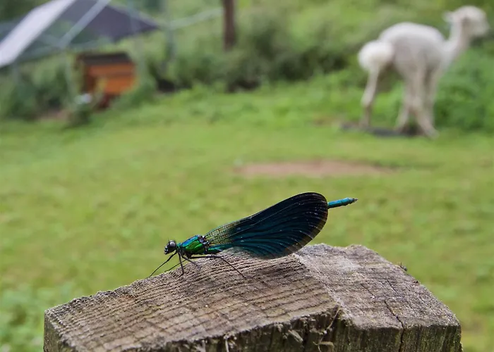 Värdshus Posada Petfriendly El Molino De Cantabria - Hotel Rural B&B - *