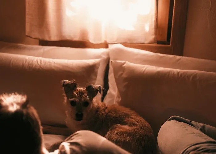 Värdshus Posada Petfriendly El Molino De Cantabria - Hotel Rural B&B -